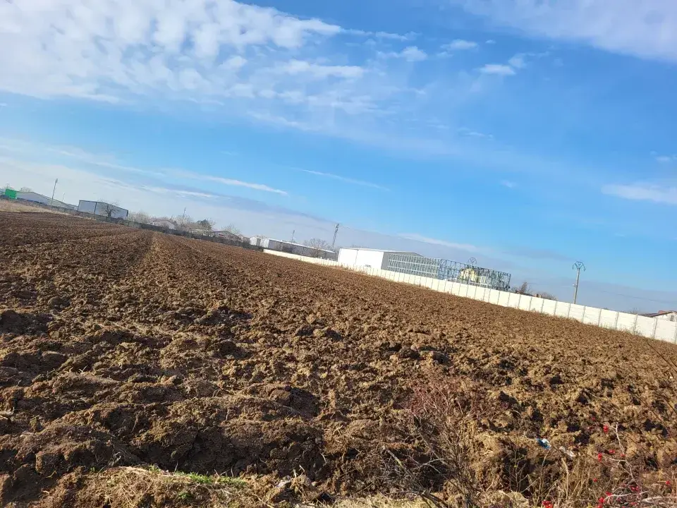 Teren Intravilan de Vânzare Moara Vlăsiei, Ilfov - Spațiu Ideal pentru Dezvoltare Industrială și Comercială